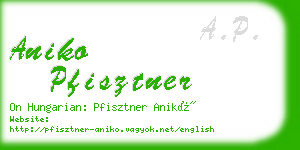 aniko pfisztner business card